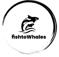 Fishtowhales